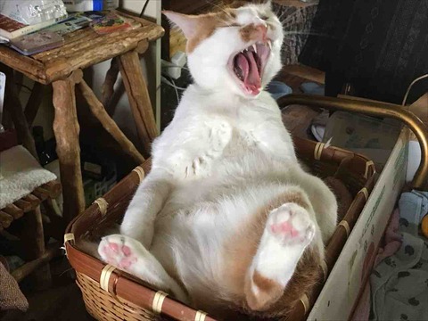 8C0049AC-9813-4E9C-B908-8684FDBDF02E