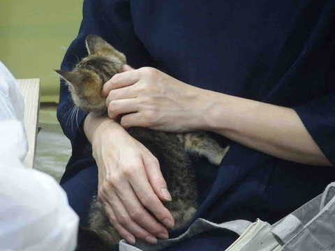 8F98BF93-17D7-4CAB-9E55-9F16C66CB944