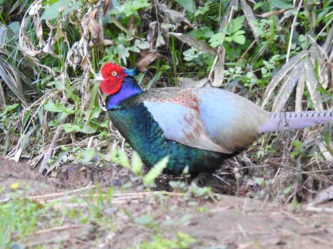 78C2E6D1-2213-414B-BB67-D426252259A8