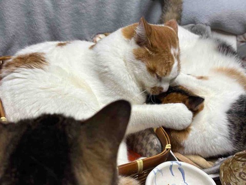 98AB4B3F-FA54-4357-944D-4F79A1E5E48F