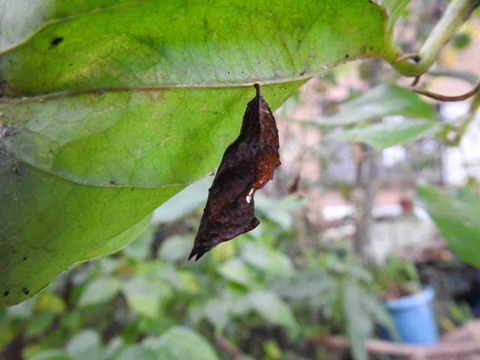 85433765-6FCD-4D31-9A6E-4B73221C0C9F