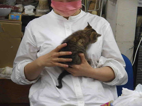 954A50F5-09C5-481A-8956-E24B01BEA2F3