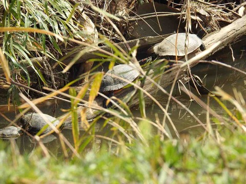 477F8A30-2D27-4786-BDDF-63435F2E36C8