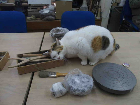 26331E36-E83B-47CB-A1B9-16D33812F906