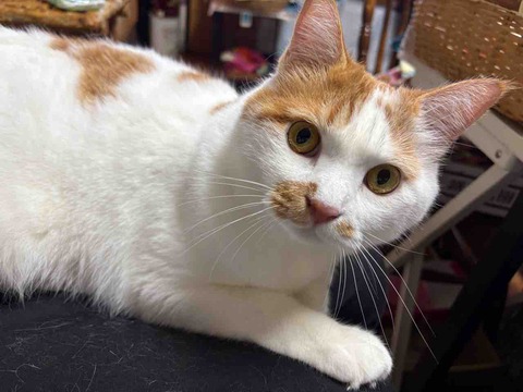 7BF9FC95-AFEC-444C-801A-CB59C1861347