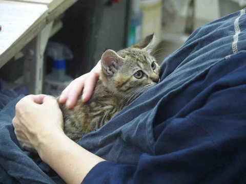 ABF7C91F-90C5-43BE-888A-715F9049394A