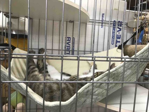 71DEB6EC-E7F8-4A5E-B5DF-E3C23F37AA2D