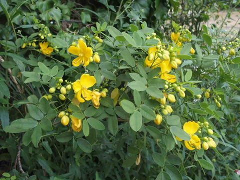 46F529C7-23D3-4BD9-A44A-EBE84AA770E1