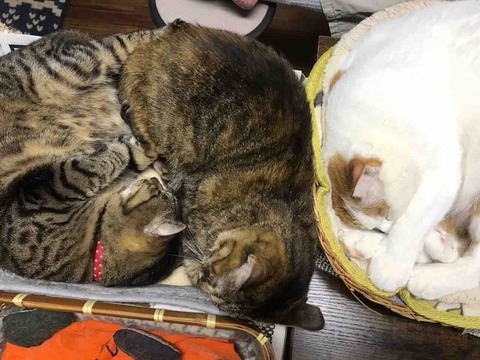 0C8260D1-58B1-4132-B3F6-F6ED1670C3AC