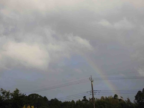 D17A2543-CE13-4E55-AE86-61AF6E29BACA