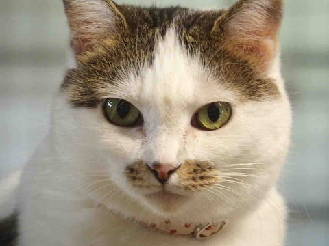 93D870C3-6C9C-4022-8C48-63BFEFC24C48