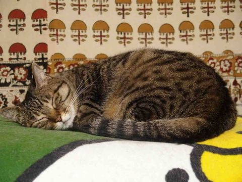 98600905-794D-4A7E-9E1F-87A51D70E85A