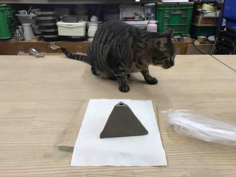 06CD4529-84F3-4282-8907-0CEB76CD88A6