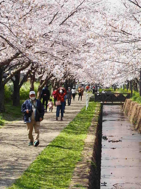 A48CB7EB-682B-4C2B-BCE3-44492446A545