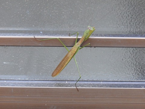 5C7D6F0C-1D19-43D1-90CF-9F44C43F85F9