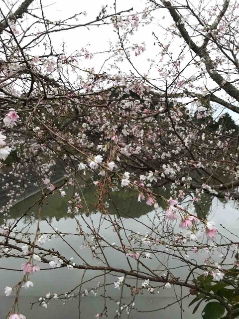 E1F1AE9A-1669-4CF8-8911-58BF4D49FDD7