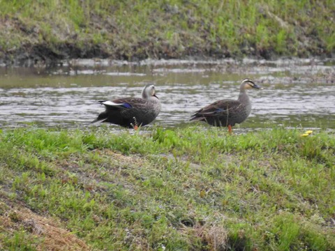 79C198BF-C7E9-4BFA-87FB-ECA4B3867370