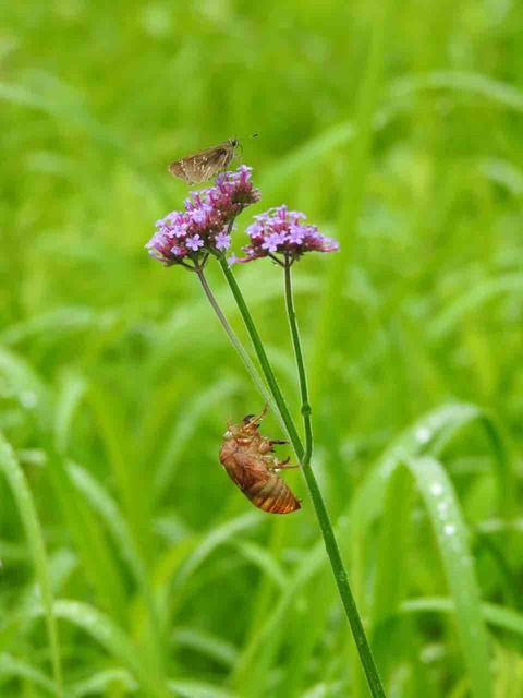 2705B7DD-4FA7-4202-8896-05FE904D1E6B