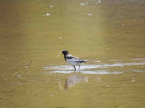 E3D0AB53-481E-434A-805D-C8E4CF5876C8