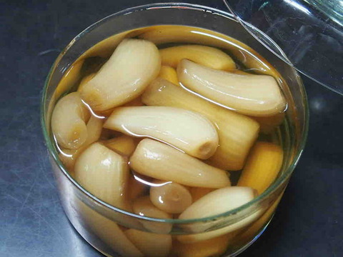 FECDE681-3B81-4659-90A9-57B42B15B6D1