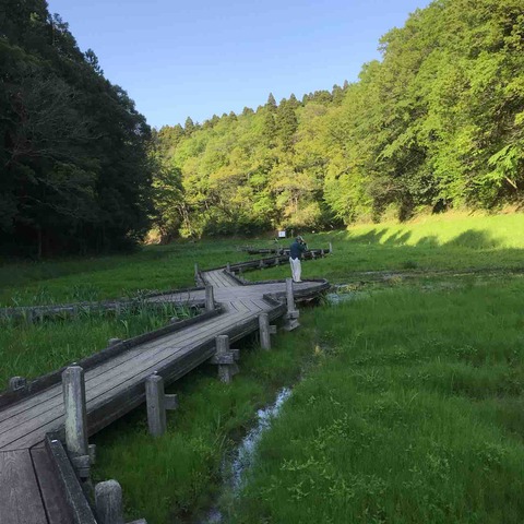 47B51955-13BB-4D0C-82EE-F5A08BD8AE22