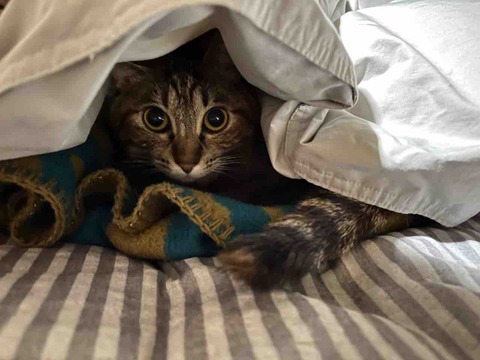 A9612E0D-C146-4C4A-BCF5-9931BB7E1273