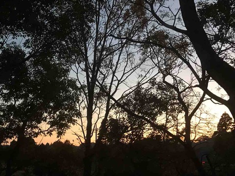 A874B994-73AC-46B1-9411-2F11B178EE70