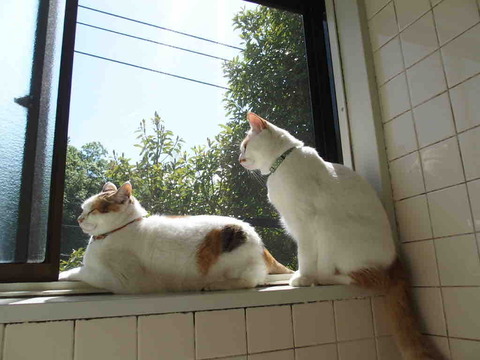 5C6DB091-1E89-4FF8-86DC-2801812FBEF8