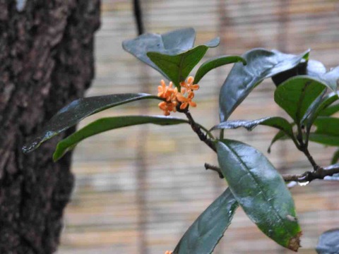 08B6BD37-8030-4361-8075-060A017D9696