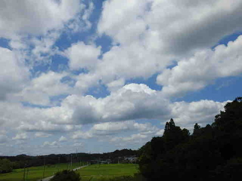 409EA8C4-EEC9-4E44-8A11-331CB8DD06A5