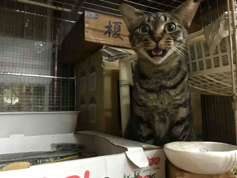 B1BCBB01-37D2-4A5B-A673-C1D2DBE74658