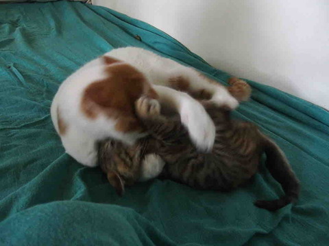 078E62BA-8CE2-4708-98F6-E14FD0657051