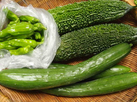 1928B682-FE1A-4CAE-9A6A-3224299E5891