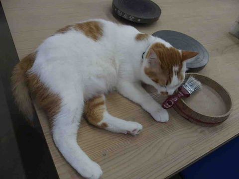 8CF3BB82-35EE-4ACD-94AF-8B510CCB9DE3