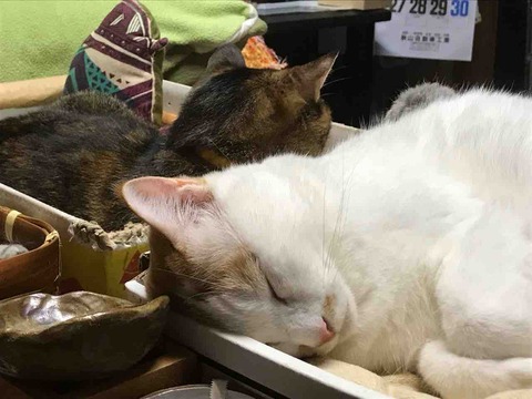 082EB633-96FB-462B-9A23-04BF63B5BE6D