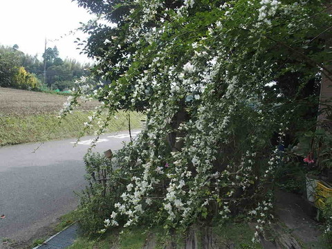 678C1ADF-4F79-4FD3-B428-4B3FC42260BB