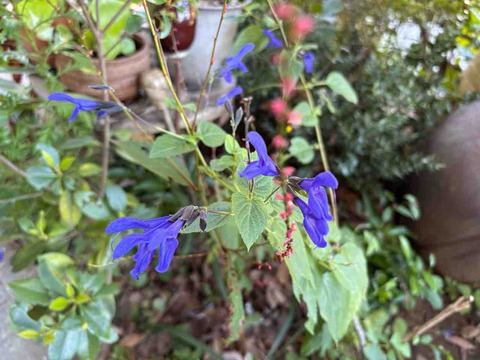 35C6F6DF-2F83-4E6E-9F26-47CEECD1300F