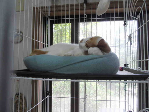 14A4DE1D-F904-4158-8D22-4C281353649B