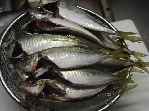 64153121-C0EF-42DD-91E5-89B4ECC440D3