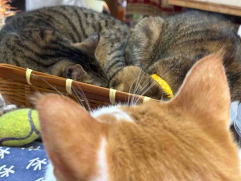 1932A952-FF58-4983-8EC3-1FC9DBB49167