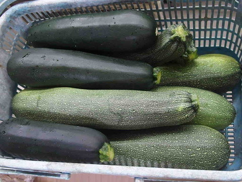 6E754412-21D7-4A4A-90AB-8159C04381C1