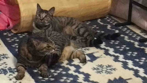 1F1FB650-294C-4810-B7DA-DC74101109FC