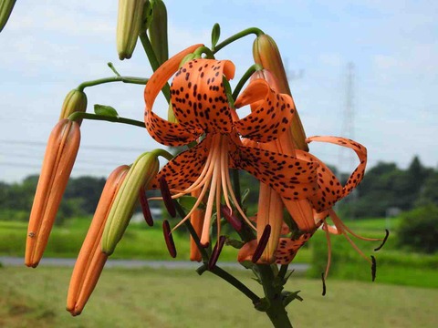 6242348A-9042-4B9A-9801-F88181F1ED0C