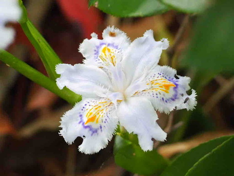 B01AE910-F39A-421A-B779-319FEA040C05