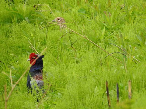 7D8BCCA1-CDEA-4A76-A310-70DF8DC22324