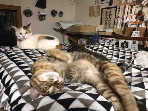 BB2BD33B-F518-456B-A5C3-E8F6A4A26444