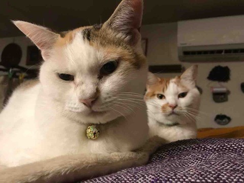 C3514BEF-2EE0-4CD9-84B0-34971C0FE3ED