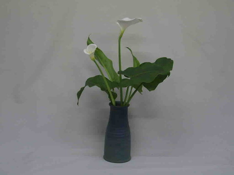 F7C0ECCC-0638-4EFB-B793-270EC00D01A4