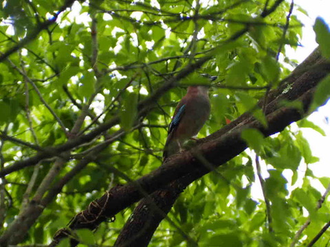 10C2CE5A-885B-4BF3-9AAB-00E5423BE384