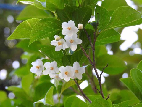 94A1B7EC-0DA6-4673-9F55-B78273109AE3